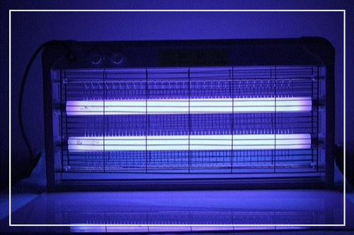 紫外线灭蝇灯 vs 紫外线消毒灯